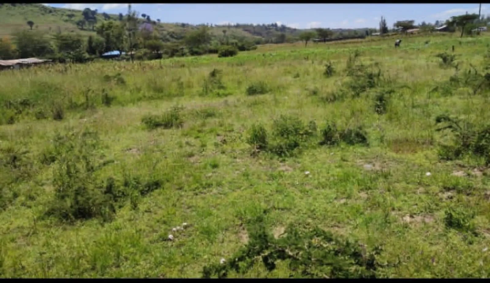 Land For Sale Real Estate-1/4 Acre PCEA Mbaruk NAKURU Clean Tittle Deed Cheapest 2