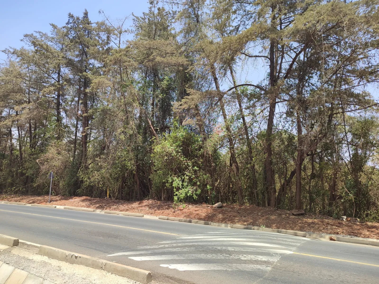 Karen land for sale 4 half acre plots in Hardy Masai West Road Ready Tittle Deed Exclusive!