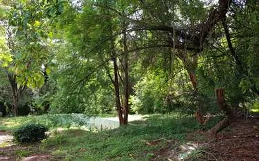 Land for Sale in Karen Banda Lane 1 one Acre Clean title deed