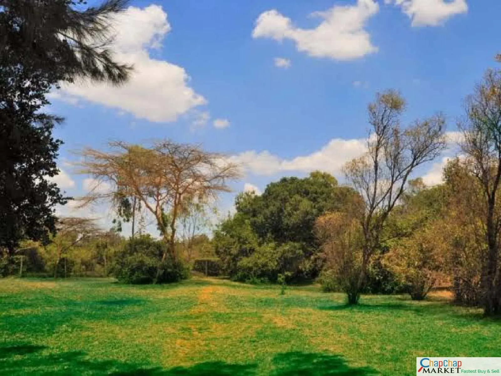 Land For Sale in Karen Karen Hardy half 1/2 Acre Ndovu Road Clean Ready Title Deed