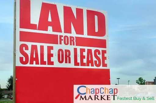 Land For Rent/Lease/Hire Real Estate-1 acre ridgeways available for lease at 800k fronting kiambu road very secure and easy access 6