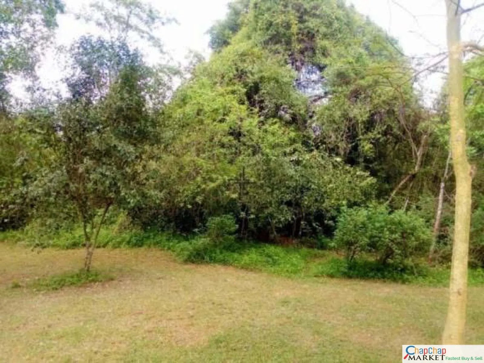 Real Estate Land For Sale-Land for sale in Karen Ready Title Deed QUICK SALE🔥1/2 acre gated community Kufuga Road