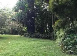Land for sale in Karen Ready Title Deed QUICK SALE 1/2 0.5 Marula Lane 🔥