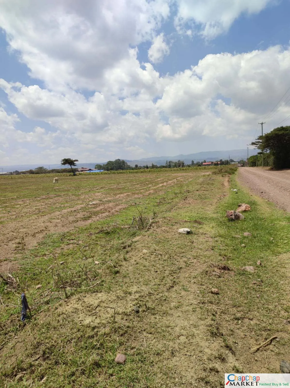 Land For Sale Real Estate-Land for Sale in Nakuru 15 acres for sale Eastgate Nakuru QUICK SALE Clean Title Deed 8