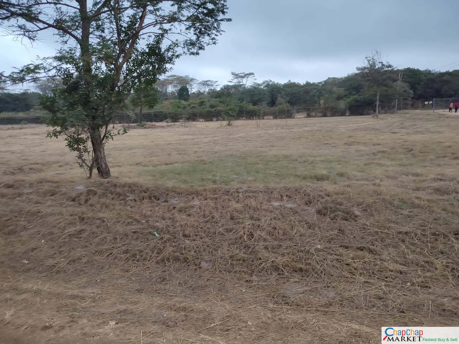 Land for sale in Karen Ready Title Deed QUICK SALE 1/2 acre Catholic University🔥