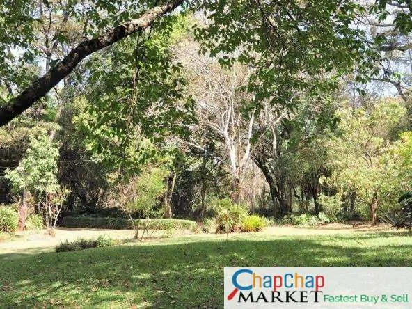 Land For Sale Real Estate-Land for sale in Karen Ready Title Deed QUICK SALE 1/2 acre Hardy 23