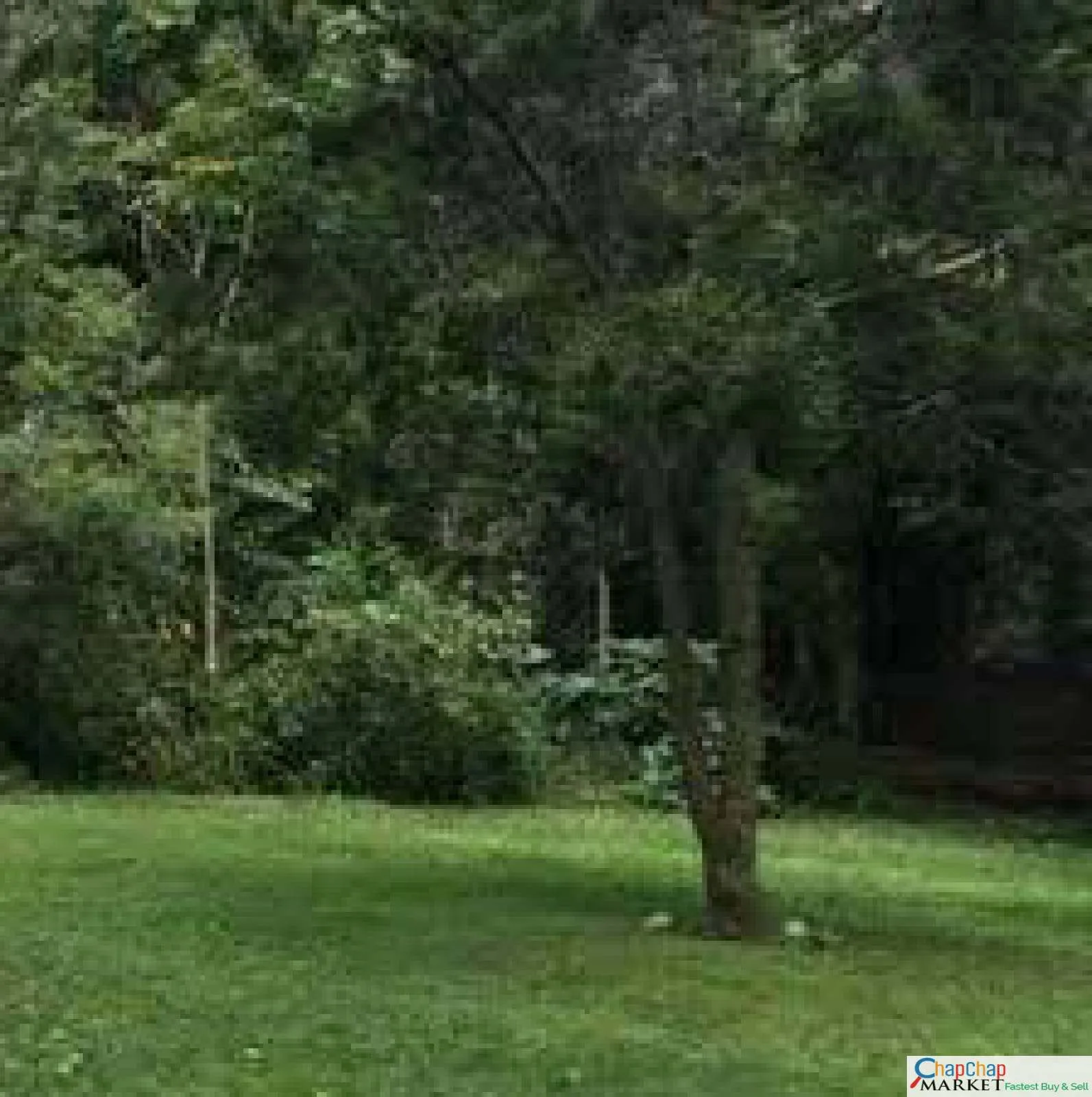 Land For Sale Real Estate-Land for sale in Karen Ready Title Deed QUICK SALE 1/2 0.5 acre bomas Karen Exclusive 🔥