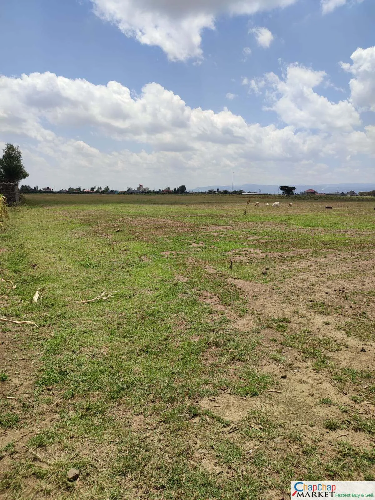 Land for Sale in Nakuru Near Airport 2 Acres Mbaruk Clean Title Deed EXCLUSIVE Nakuru mbaruk PLOT