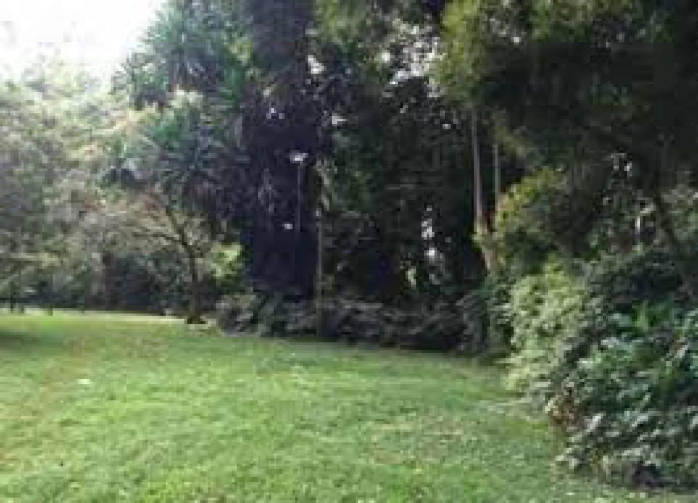 Land For Sale Real Estate-Land for sale in Karen Hardy 1/2 Acre @30M Ready Title Deed QUICK SALE Exclusive half acre 0.5🔥 3