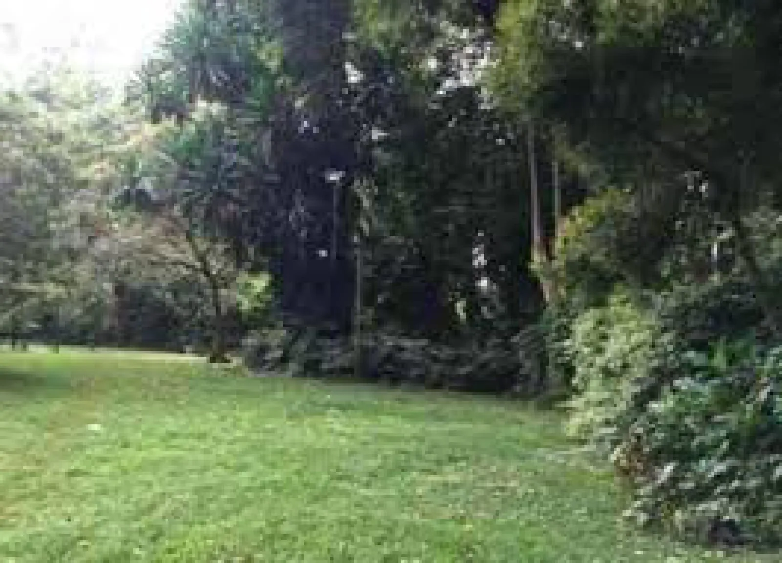 Land for sale in Karen tumbili road 2.5 Acres Ready Title Deed QUICK SALE Exclusive🔥