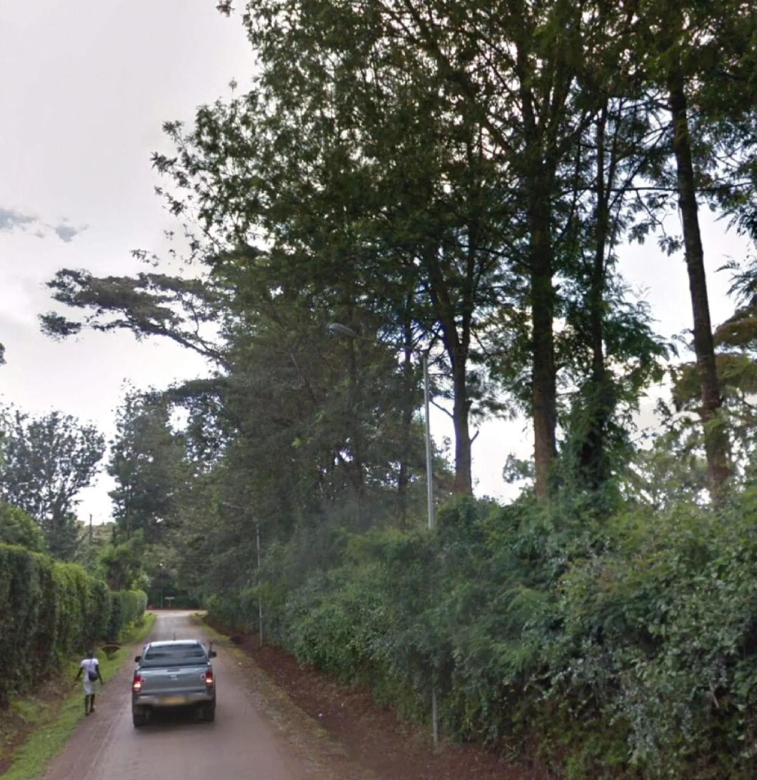 Land for sale in Karen Ngong View Estate 1 Acre Ready Clean Title Deed QUICK SALE Exclusive