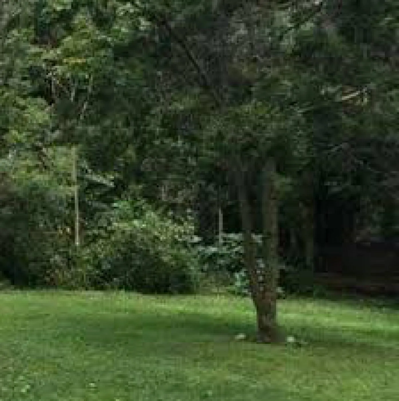 Land For Sale Real Estate-Land for sale in Karen Hardy 1/2 Acre @30M Ready Title Deed QUICK SALE Exclusive half acre 0.5🔥 4