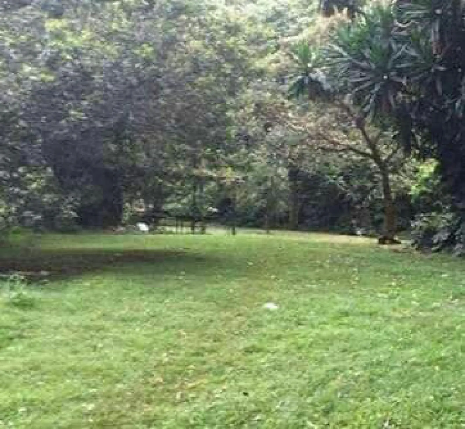 Land for sale in Karen Hardy 1.25 Acres 75M ONLY choice of two Ready Title Deed QUICK SALE Exclusive🔥