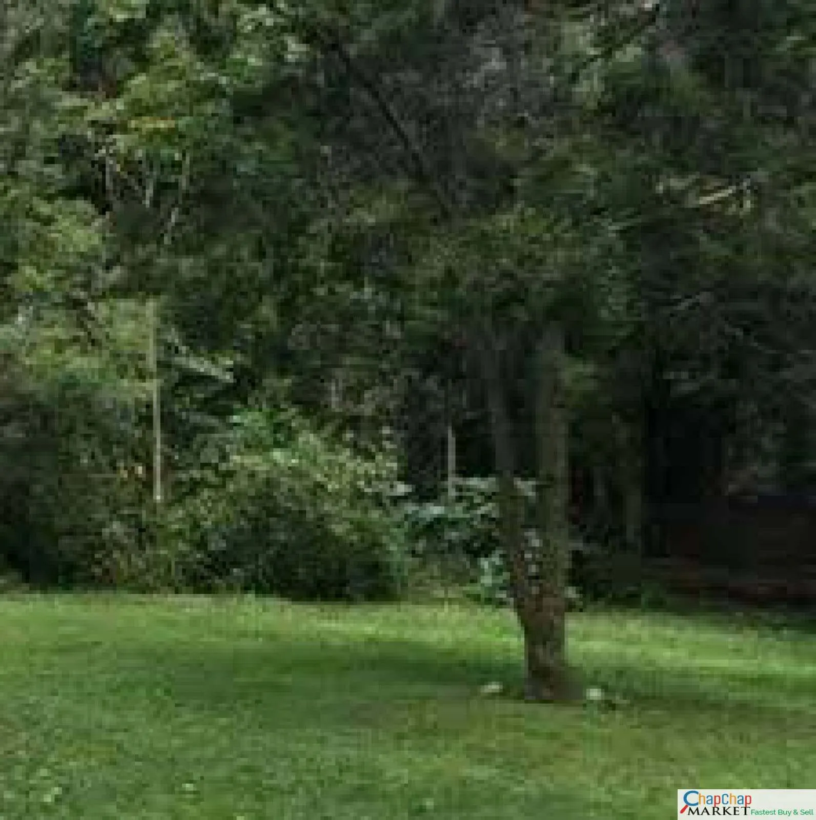 Land For Sale Real Estate-Land for sale in Karen KCB 1 Acre Ready Title Deed QUICK SALE Exclusive