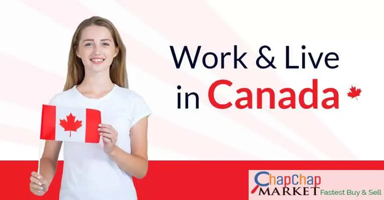 -13 Best Job Sites in Canada for For foreigners TODAY Best Legit Genuine